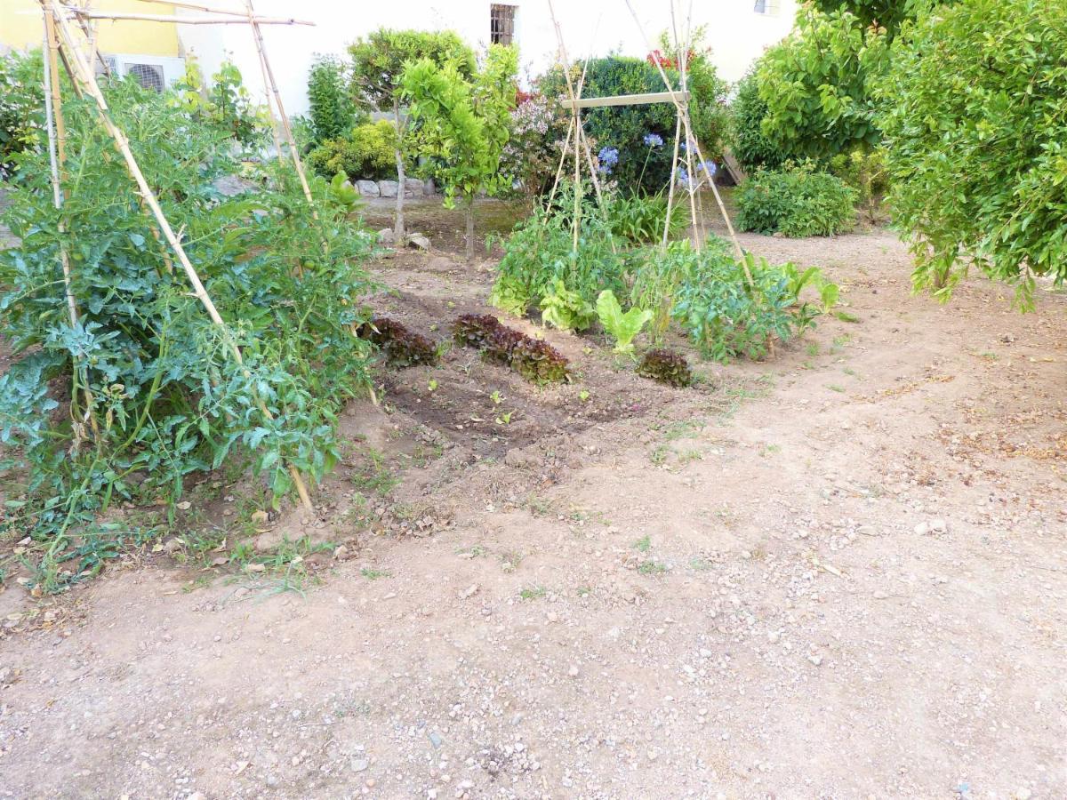 Hort De La Cinteta Villa Alcover Exteriör bild
